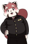 anthro belly blush bottomwear clothing humanoid_hands kemono male overweight overweight_male pants red_body shirt simple_background solo topwear white_background dokyudokyu1 ailurid mammal red_panda 2022 2:3 hi_res