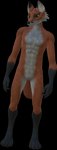 athletic avatars male solo vrchat_model elysium_avatars vrchat canid canine fox mammal 3d_(artwork) alpha_channel digital_media_(artwork) hi_res