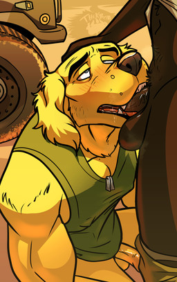 anthro balls black_body black_fur blush bottomwear bottomwear_down clothed clothing dog_tags duo faceless_character faceless_male fellatio fur genitals humanoid_genitalia humanoid_penis male male/male male_anthro military military_clothing musk musky_balls musky_penis oral outdoor_nudity outside outside_sex pants pants_down partially_clothed penile penis raised_clothing raised_shirt raised_topwear sex shirt teeth toothy_fellatio topwear yellow_body yellow_fur thekinkybear russell_ashwood_(thekbear) teabone_tsul bird_dog canid canine canis domestic_cat domestic_dog felid feline felis golden_retriever hunting_dog mammal retriever absurd_res hi_res