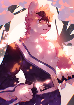 anthro asian_clothing athletic athletic_anthro athletic_male black_hair brown_body brown_fur cherry_blossom clothing east_asian_clothing flower fur hair japanese_clothing katana kemono looking_away male melee_weapon plant prunus_(flower) solo sword weapon white_body white_fur hemuchang canid canine fox mammal 2022 hi_res
