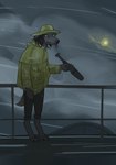 anthro biped black_body black_fur claws clothing coat digitigrade fur grey_body grey_fur male outside paws raincoat raining solo standing telescope toe_claws topwear discreet_user lucas_(discreet_user) canid canine mammal 2023 digital_media_(artwork) full-length_portrait hi_res portrait