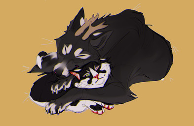 ambiguous_gender black_body black_fur blue_sclera cheek_tuft cuddling duo eyes_closed facial_tuft feral fur inner_ear_fluff leg_tuft lying on_front pawpads quadruped red_inner_ear red_nose red_pawpads simple_background tuft unsigned whiskers white_body white_fur white_inner_ear_fluff yellow_eyes justkiddinb canid domestic_cat felid feline felis mammal digital_media_(artwork)