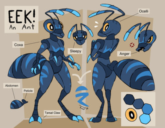 2_toes 3_fingers abdomen_markings angry antennae_(anatomy) anthro arthropod_abdomen back_markings biped black_eyes blue_body blue_claws blue_finger_claws blue_markings chest_markings claws color_swatch cross-popping_vein directional_arrow exoskeleton facial_markings feet finger_claws fingers head_markings leg_markings male mandibles markings multicolored_antennae ocellis pupils simple_background solo standing tan_background text tired toe_claws toes white_pupils yellow_sclera eekanant eek_(eekanant) ant arthropod hymenopteran insect 2025 character_name digital_drawing_(artwork) digital_media_(artwork) english_description english_text flat_colors hi_res model_sheet