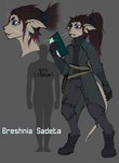 anthro belt belt_pouch black_hair blue_eyes boots clothed clothing coat datapad female footwear freckles fully_clothed gloves gradient_hair hair handwear highlights_(coloring) long_hair pale_skin red_highlights satchel shoes simple_background solo tablet_computer tailcoat topwear trenchcoat frostwyrm102 voices_of_the_void alien alien_humanoid animal_humanoid ariral cat_humanoid felid felid_humanoid feline feline_humanoid humanoid mammal mammal_humanoid full-length_portrait headshot_portrait hi_res model_sheet portrait traditional_media_(artwork) herm_(lore)