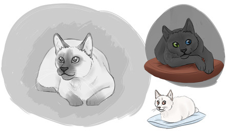 ambiguous_gender black_body black_fur black_nose blue_eyes feral fur green_eyes heterochromia loaf on_pillow orange_eyes paws pillow snout whiskers white_body white_fur felinemyth neko_atsume frosty_(neko_atsume) pepper_(neko_atsume) ramses_the_great_(neko_atsume) domestic_cat felid feline felis mammal 2016 colored_sketch digital_drawing_(artwork) digital_media_(artwork) multiple_images shaded sketch sketch_page