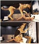 ballbusting bestiality cock_and_ball_torture cowgirl_position duo feral from_front_position genital_torture human_penetrating male male/male male_on_feral on_bottom on_top penetration power_bottom realistic_feral sex size_difference stepping_on_balls text vulpineadonis canid canine canis domestic_dog german_shepherd herding_dog human mammal pastoral_dog hi_res lol_comments url