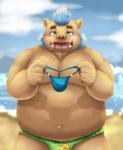 anthro beach belly big_belly blue_facial_hair blue_hair blue_sideburns blush clothing facial_hair hair heart_eyes heart_symbol male mohawk navel overweight overweight_anthro overweight_male seaside sideburns solo speedo swimwear thong underwear aotoaka lifewonders tokyo_afterschool_summoners ganglie_(tas) mammal suid suine sus_(pig) wild_boar hi_res