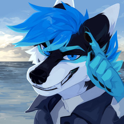 ambiguous_gender anthro black_body black_claws black_fur black_pawpads blue_eyes blue_hair cheek_tuft claws clothed clothing cloud detailed_background facial_tuft fangs fur glistening glistening_eyes grey_clothing grey_jacket grey_topwear grin hair jacket looking_at_viewer outside pawpads short_hair sky smile solo teeth topwear tuft unsigned water white_body white_clothing white_fur white_topwear corzh77 canid canine canis mammal wolf 1:1 absurd_res bust_portrait detailed hi_res icon portrait
