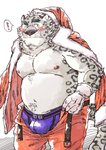 anthro belly blush bottomwear boxer_briefs bulge clothing costume holidays kemono male navel nipples overweight overweight_anthro overweight_male pants purple_clothing purple_underwear santa_costume simple_background solo underwear ryuta-h christmas felid mammal pantherine snow_leopard 2020 hi_res