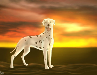 animal_genitalia balls black_body black_nose black_skin cloud detailed_background feral floppy_ears genitals looking_at_viewer male multicolored_body multicolored_skin sheath side_view solo spots standing sunset tongue tongue_out white_body white_skin cinta canid canine canis dalmatian domestic_dog mammal 2016