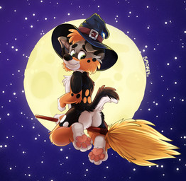 anthro broom broom_riding butt cleaning_tool clothing costume ears_down eyebrows feet full_moon halloween_costume hat head_tuft headgear headwear hindpaw holidays looking_back male markings moon night nude null pawpads paws pivoted_ears raised_paw raised_tail sky solo spots spotted_body star starry_sky tail tuft witch_costume witch_hat young young_anthro young_male smokeyaussie halloween canid canine canis domestic_dog mammal hi_res watermark