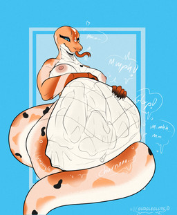 abdominal_bulge anthro breasts female female_pred forked_tongue glorp long_tail muffled_speech navel nude orange_body rumbling_stomach same_size_vore scales solo tail tight_fit tongue vore white_body gurglegluts reptile scalie snake hi_res