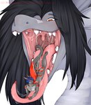 ambiguous_form anthro blue_hair bodily_fluids body_in_mouth duo extreme_size_difference hair imminent_vore male male/male male_pred male_prey mouth_play open_mouth recursive_vore saliva size_difference tail tongue tongue_out vore miphassl mythology dorogato_(dorogato) dragon mythological_creature mythological_scalie scalie digital_media_(artwork) hi_res