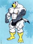 abs anthro beak biceps big_bulge big_muscles biped bulge clothed clothing feathers grey_body grey_feathers male muscular muscular_anthro muscular_male nipples pecs solo speedo standing swimwear topless white_body white_feathers modem_redpill brogulls ayden_(brogulls) avian bird gull lari larid 2016 3:4 hi_res