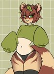 anthro biped clothed clothing crossdressing ear_piercing femboy fluffy fluffy_tail fully_clothed heterochromia legwear male panties piercing pose smile solo stockings sweatshirt tail thigh_highs underwear wide_hips nisaku canid canine mammal procyonid raccoon raccoon_dog tanuki absurd_res flat_colors hi_res pinup portrait three-quarter_portrait