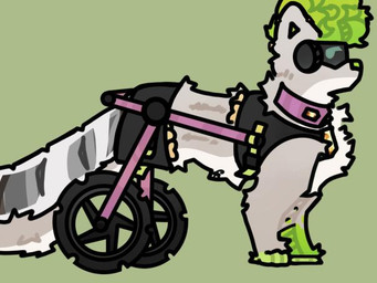 2_missing_limbs afghan amputee collar disability female feral fluffy fluffy_ears fluffy_hair fluffy_tail hair harness neck_tuft robotic_tail shock_collar tail toony tuft vehicle visor wheel wheelchair ahw0nqusk loui_(leloui) australian_shepherd canid canine canis domestic_dog herding_dog mammal pastoral_dog sheepdog 4:3