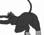 4_toes all_fours anthro backsack balls biceps big_butt big_muscles black_body black_fur butt digitigrade feet fur genitals looking_at_viewer looking_back male melanistic muscular muscular_anthro muscular_male nude pose red_eyes simple_background solo teasing teeth toes vamplust ebonysilver felid hybrid lion mammal pantherine 2012