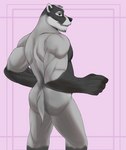 anthro black_eyes butt grey_body male muscular muscular_male nude pink_background rear_view simple_background solo cupcake2007 echo_(series) echo_project the_smoke_room nikolai_krol badger european_badger mammal meles mustelid musteline hi_res