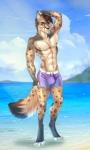 4_toes 5_fingers abs anthro barefoot beach biped brown_hair bulge clothed clothing detailed_background digitigrade feet fingers hair male outside purple_eyes sand seaside shoreline sky solo toes topless water wet whiskers aimi felid feline mammal digital_media_(artwork) hi_res