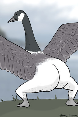 ambiguous_gender beak big_butt black_body black_eyes black_feathers blurred_background butt crouching detailed_background dot_eyes feathers feet feral grass grey_beak grey_body grey_feathers huge_butt humanoid_feet humanoid_feet_on_feral plant plantigrade rear_view shitpost simple_eyes solo split_form spread_legs spread_wings spreading standing tailless text toony what white_body white_feathers wings tommy_siegel anatid anseriform anserine avian bird canada_goose goose 2020 absurd_res artist_name hi_res meme