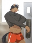 abs anthro black_hair blue_eyes bottomwear boxer_briefs broad_shoulders brown_body brown_fur bulge clothed clothing erection erection_under_clothing fur hair inside looking_at_viewer male muscular muscular_anthro muscular_male open_mouth pose shorts smile solo tail underwear undressing ig1119 canid canine canis mammal wolf 2012 3:4