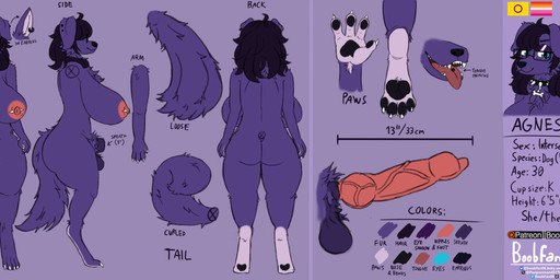animal_genitalia anthro balls big_breasts big_butt big_penis black_nose black_pawpads blue_eyes breasts butt canine_genitalia chest_tuft collar color_swatch curled_tail eyelashes eyeshadow eyewear floppy_ears fluffy fluffy_tail fur genitals glasses gynomorph hair huge_breasts huge_penis intersex knot knotted_penis makeup medium_hair monotone_background neck_tuft nipple_piercing nipples nude_anthro nude_gynomorph open_mouth pawpads paws penis piercing pride_color_flag pubes purple_background purple_body purple_fur purple_hair rectangular_glasses sheath simple_background size_difference snout solo spiked_collar spikes tail teeth text tuft wearing_glasses boobfan06 agnes_(boobfan06) canid canine canis domestic_dog mammal 2025 artist_name english_text hi_res model_sheet