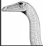 featherless feral long_neck realistic scales simple_background solo dahurgthedragon coelophysid coelophysis coelophysis_bauri dinosaur prehistoric_species reptile scalie theropod detailed monochrome portrait