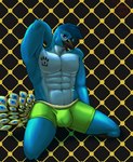 abstract_background bulge clothing feathers hand_behind_head kneeling looking_at_viewer male muscular muscular_male seductive solo tattoo underwear hermesdidit king_zanic_(character) avian bird galliform indian_peafowl peafowl phasianid hi_res