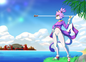 accessory aircraft airplane beach biplane blue_sky bodysuit breasts camel_toe clothing cloud construction_site death_egg female fur hair_accessory hair_tie hand_on_hip light light_beam looking_aside medium_breasts navel_outline purple_body purple_fur purple_tail ring scaffolding sea shoreline skinsuit sky standing sunbeam sunlight tail tight_clothing vehicle water wind yellow_eyes unknown_artist sega sonic_the_hedgehog_(series) blaze_the_cat domestic_cat felid feline felis mammal 2025