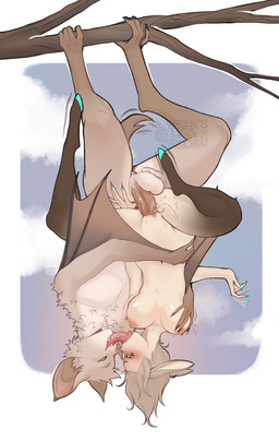 animal_ears anthro anthro_penetrating balls bat_wings breasts duo female fur genitals hair hanging_by_feet long_tongue male male/female membrane_(anatomy) membranous_wings motion_lines nude penetration penis sex tongue vaginal wings sweetburn sweets_remivas_(sweetburn) bat bovid caprine humanoid mammal sheep hi_res