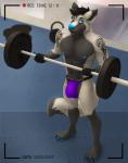 5_fingers anthro barbell bicep_curl big_bulge black_body black_fur black_hair blue_eyes blue_nose bulge camera clothing fingers fur gym hair jockstrap male muscular muscular_anthro muscular_male smile solo tattoo text underwear weights katarhein ace_(acewolfy) canid canine canis mammal wolf 2019 english_text hi_res