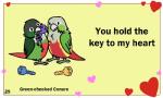 ambiguous_gender beak black_eyes duo feral heart_symbol holidays humor pun text birdcheese valentine's_day avian bird green-cheeked_conure neotropical_parrot parakeet parrot true_parrot 5:3 animated digital_media_(artwork) english_text low_res short_playtime