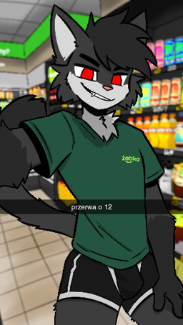 anthro bottomwear boxer_briefs bulge camera_view caption clothing fur grey_body grey_fur looking_at_viewer male pixelated red_eyes selfie shirt solo store teasing teasing_viewer text topwear underwear danny_arctic_(artist) snapchat zabka domestic_cat felid feline felis mammal 9:16 hi_res polish_text translated