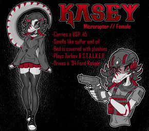 abstract_background anthro armor biped black_clothing black_legwear black_thigh_highs bottomwear breasts choker clothing eyewear female fingerless_gloves fingers front_view gloves grey_body grey_clothing grey_hoodie grey_topwear gun hair handgun handwear headgear helmet holding_gun holding_handgun holding_object holding_pistol holding_ranged_weapon holding_weapon hoodie humanoid_hands jewelry legwear long_hair looking_at_viewer miniskirt multiple_poses necklace non-mammal_breasts pistol plate_carrier pose ranged_weapon red_body red_bottomwear red_clothing red_eyes red_skirt shirt skirt small_breasts smile solo sunglasses text thigh_highs topwear weapon gothgator0 converse kasey_(gothgator0) dinosaur dromaeosaurid microraptor prehistoric_species reptile saurischian scalie theropod absurd_res character_name english_text full-length_portrait hi_res model_sheet portrait restricted_palette