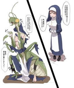 arthropod_abdomen before_and_after blue_clothing breasts clothing dialog_box dialogue exoskeleton female footwear gloves green_body green_exoskeleton growth handwear limb_growth mandibles mid_transformation nipples nun open_mouth shoes simple_background solo species_transformation standing surprised text torn_clothing transformation white_background white_clothing fuka_(kantoku) arthropod human insect mammal mantis 2024 digital_media_(artwork) hi_res japanese_text translation_request