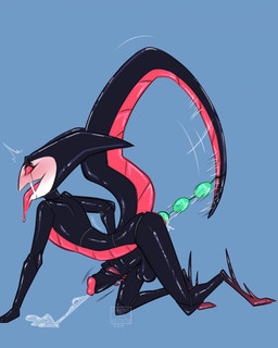 anal anal_bead_pull anal_beads anal_beads_in_ass anal_masturbation anal_penetration anthro balls black_body black_exoskeleton blue_background blush bodily_fluids cum cumshot digitigrade ejaculation erection exoskeleton genital_fluids genitals humanoid_genitalia humanoid_penis hybrid_genitalia hybrid_penis leg_spikes male masturbation medial_ring medial_ringed_humanoid_penis medial_ringed_hybrid_penis object_in_ass open_mouth penetration penile penile_masturbation penis red_body sex_toy sex_toy_in_ass sex_toy_insertion simple_background solo spikes spikes_(anatomy) tail tongue tongue_out famousartpotato hollow_knight_(franchise) team_cherry church_(tasla_venhyle) fan_character arthropod insect 2024 dated hi_res nonbinary_(lore)