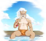 abdominal_bulge anthro barazoku belly beverage bodily_fluids bottomwear bulge clothing detailed_bulge eyewear genital_fluids genital_outline glasses male muscular nenju penis_outline pool_party shirtless shorts sky skyscape solo sunglasses swimming_pool swimwear gaouu pongotora canid canine canis domestic_dog mammal shiba_inu spitz