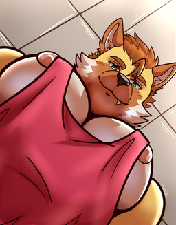 anthro areola barazoku biped brown_body brown_fur brown_hair close-up clothed clothed_anthro clothed_male clothing fur green_eyes hair inside looking_at_viewer looking_down low-angle_view male muscular muscular_anthro muscular_male nipples pecs pecs_focus red_clothing red_shirt red_tank_top red_topwear shirt short_hair smile smirk solo tan_body tan_fur tank_top text topwear yellow_body yellow_fur darolion pec_pov_meme canid canine canis mammal wolf 2025 artist_name half-length_portrait hi_res portrait