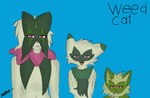 ambiguous_gender anthro drugs floragato fur generation_9_pokemon group marijuana meowscarada nintendo open_mouth pokemon pokemon_(species) savo simple_background smile sprigatito text trio weezer weezer_(blue_album)