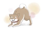 female feral male male/female solo angra co canid canine canis domestic_dog mammal shiba_inu spitz