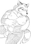 anthro balls belly genitals kemono male moobs nipples overweight overweight_male penis simple_background sitting solo white_background hysk canid canine canis mammal wolf 2024 hi_res