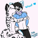 anthro belly blue_heart blush bow_tie clothing duo hug hugging_another kissing kissing_cheek male navel text acewolfy1996 ace_(acewolfy1996) zyyph canid canine canis felid mammal pantherine snow_leopard wolf 1:1 2016 english_text watermark