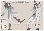 anthro areola biped breasts claws color_swatch feet female fingers hair nipples paws pouch_(anatomy) soles solo tail text toes lizet willow_(onyx_lupine) kangaroo macropod mammal marsupial 2024 english_text model_sheet