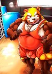 anthro balls_outline belly brown_body bulge detailed_background detailed_bulge fighting_ring genital_outline kemono male musclegut muscular overweight overweight_male penis_outline solo wrestling_singlet asakura_kento canid canine mammal raccoon_dog tanuki 2024 hi_res