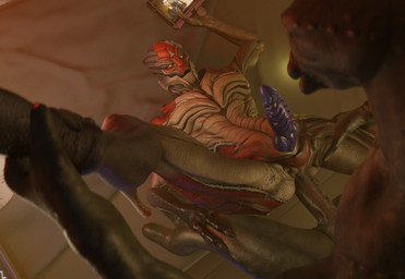 anal anal_penetration animal_genitalia ass_up claws duo erection feet foot_grab from_front_position genital_slit genitals high-angle_view leg_grab male male/male penetration penile penile_penetration penis thigh_grab myackao bioware electronic_arts halo_(series) mass_effect microsoft xbox_game_studios xerathis alien sangheili turian 3d_(artwork) digital_media_(artwork) hi_res