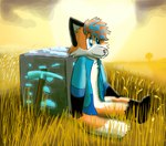 anthro black_body black_fur blue_eyes blue_hair clothing diamond_block featureless_crotch fur grass grass_field hair male multicolored_hair orange_body orange_fur orange_hair pickaxe_(minecraft) plant shirt sitting sun tall_grass topwear tree two_tone_hair white_body white_fur alissondafox microsoft minecraft mojang xbox_game_studios dustythefox canid canine fox mammal hi_res