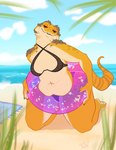 anthro beach bedroom_eyes bikini breasts clothed clothing day female inflatable inner_tube looking_at_viewer muffin_top narrowed_eyes non-mammal_breasts outside partially_clothed sand scales sea seaside seductive sky slightly_chubby slightly_chubby_female smile solo swimwear tail two-piece_swimsuit water yellow_body yellow_scales nastypasty allison_(slither) agamid bearded_dragon lizard reptile scalie hi_res