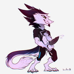 anthro balls black_body black_fur black_white_fur chibi clothed clothing clothing_lift erection fur genitals male shirt shirt_lift solo topwear white_body white_fur hita9 sergal 1:1