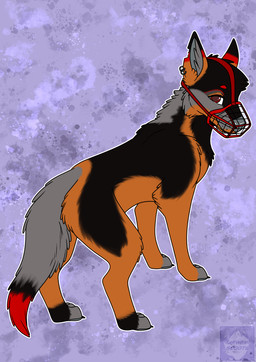 cage_muzzle ear_piercing feral fur looking_at_viewer looking_back male multicolored_body multicolored_fur muzzle_(object) muzzled orange_body orange_fur piercing red_body red_fur solo torn_ear arwenscoots conditional_dnp canid canine canis domestic_dog german_shepherd herding_dog mammal pastoral_dog hi_res
