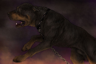 animal_genitalia black_body black_claws black_fur black_nose bound brown_markings chain chain_collar chained chained_collar claws collar feral fully_sheathed fur genitals male markings sheath solo caninsector canid canine canis domestic_dog mammal mastiff molosser rottweiler 2026